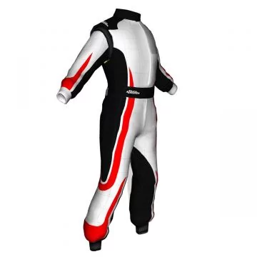 professional auto racing