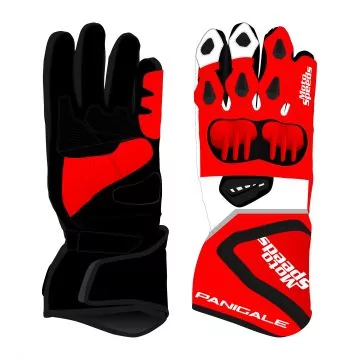 Ducati Panigale Gloves