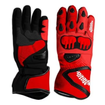 Ducati Panigale V4 R Matching Gloves