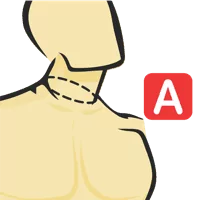 Neck Circumference At Collar