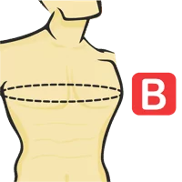 Chest Circumference