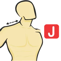 Neck to Shoulder