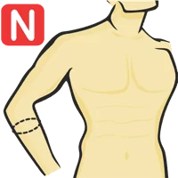 Forearm Circumference