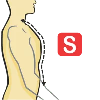 Neck To Waist - Front