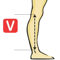Knee To Ankle