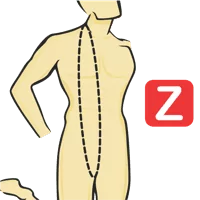 Vertical Torso Circumference