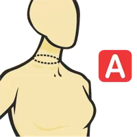 Neck Circumference At Collar