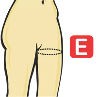 Thigh Circumference 