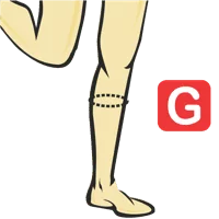 Calf Circumference