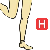 Ankle Circumference