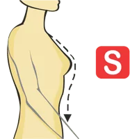 Neck to Waist - Front