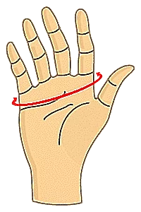 Size Chart Gloves
